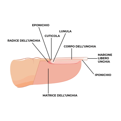 Blog copia