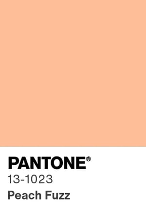 pantone 2024 peach fuzz